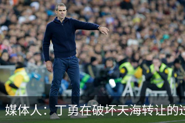媒体人：丁勇在破坏天海转让的过程中曾拉刘奕下水
