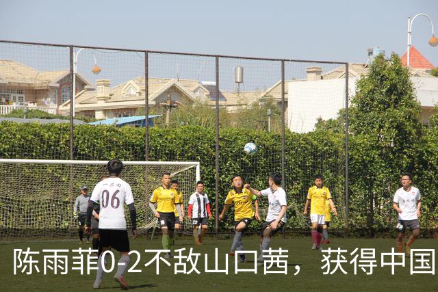 陈雨菲0-2不敌山口茜，获得中国羽毛球公开赛女单亚军